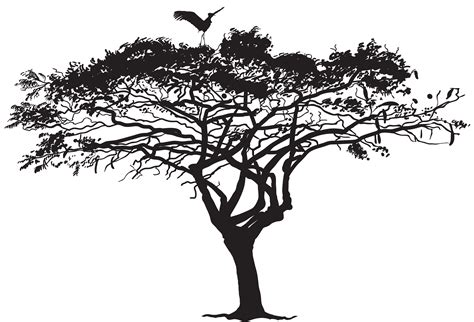 Bird Tree Silhouette Flock - Exotic Tree and Bird Silhouette PNG Clip ...