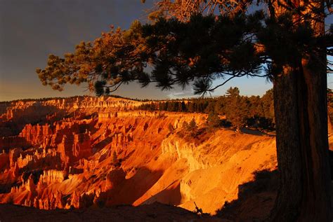 Bryce Canyon Sunrise | Tom | Flickr