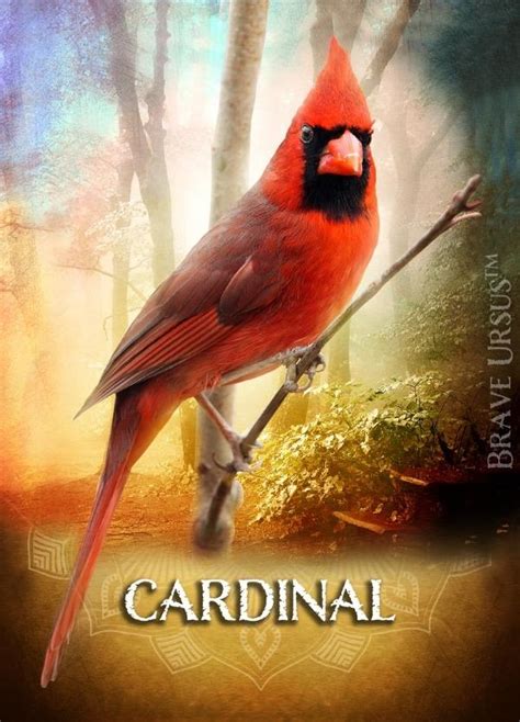 Cardinal Spirit Animal Altar & Prayer Card - What Is My Spirit Animal