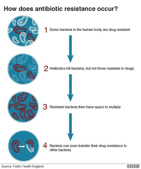 How antibiotic resistance could take us back to the 'dark ages' - BBC News