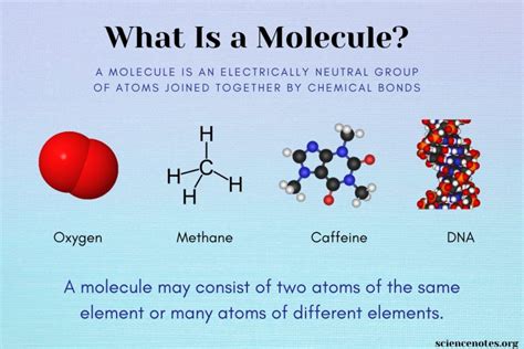 What Is a Molecule? Definition and Examples