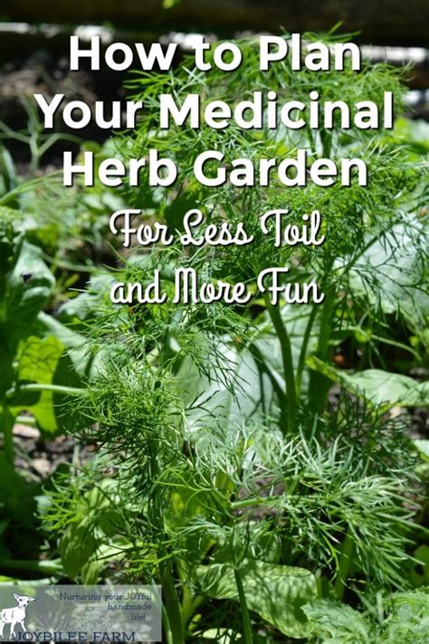 How to Plan Your Medicinal Herb Garden For Less Toil and More Fun