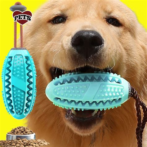 Popular Rubber Kong Dog Toy for French Bulldog Dog Teeth Brush Dog Chew ...