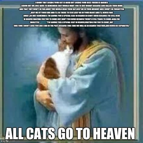 Cat Heaven Meme