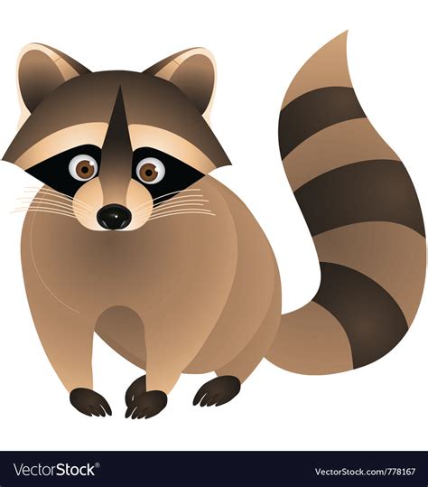 Raccoon cartoon Royalty Free Vector Image - VectorStock