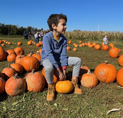 Terhune Orchards: Four Seasons of Farm Activities