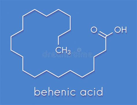 Behenic Acid Docosanoic Acid Saturated Fatty Acid Molecule. Skeletal ...