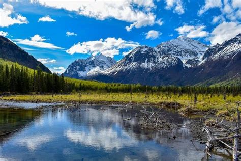 Eagle River Nature Center, Alaska. | Beautiful locations nature, Nature, Nature center