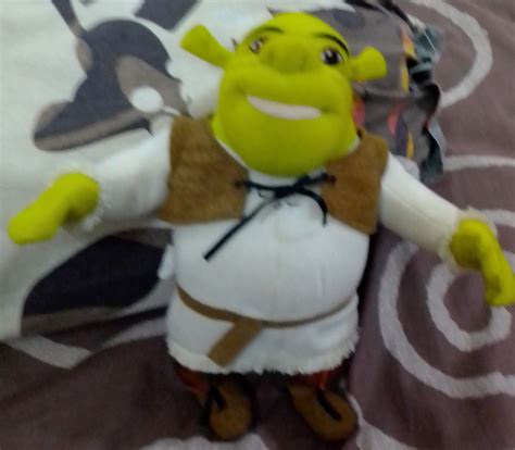 Shrek Plush (PNG) | Shrek, My pictures, Plush