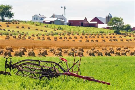 History of Agriculture: Farming Through the Ages | by Pure Greens ...