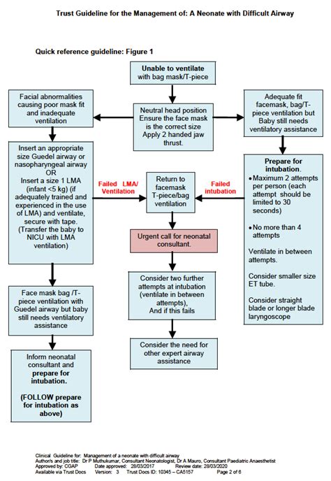 Difficult Neonatal Intubation - The Airway Jedi