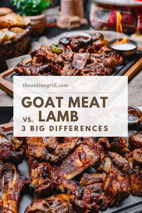 Goat vs Lamb: Which One is Best? (3 Big Differences)