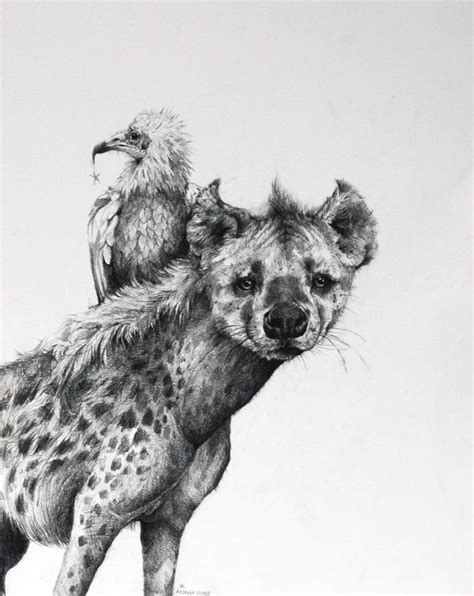 Adonna Khare Hyena | Hyena, Hyena tattoo, Animal art