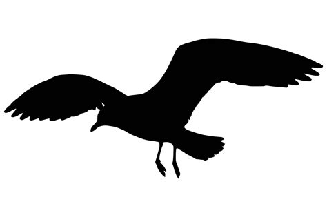 Seagull Silhouette - ClipArt Best