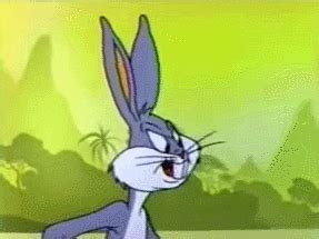The bunny does not approve. | Looney Tunes | Know Your Meme