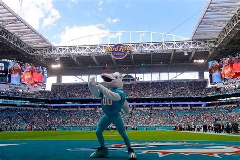 What Is Miami Dolphins Mascot T.D. Salary?