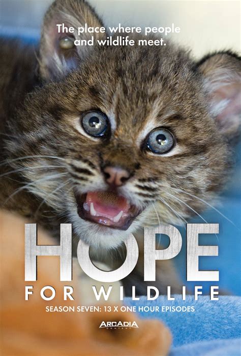 Hope for Wildlife TV Series — Hope For Wildlife