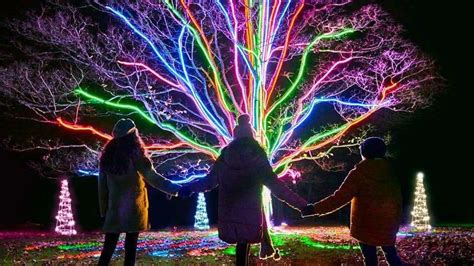 Christmas light trail at Leeds Castle, near Maidstone, returns this November, from people behind ...