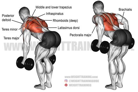 Bent-over two-arm dumbbell row exercise instructions and video