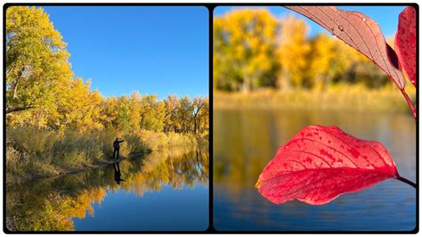 Captivating Colorado Fall 2023: A Symphony of Vibrant Colors. - YouTube