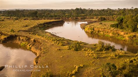 Aerial view of the Mara River, Maasai Mara, Kenya, Maasai Mara National ...