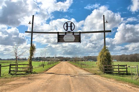 White Oak Pastures, Early County | Vanishing Georgia: Photographs by ...