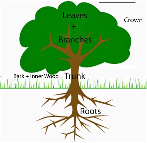 Parts Tree Diagram And List