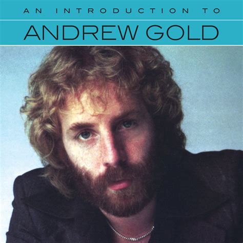 Andrew Gold - An Introduction To Andrew Gold (2018, CD) | Discogs