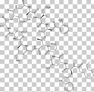 Daptomycin Lipopeptide Skin And Skin Structure Infection Antibiotics ...