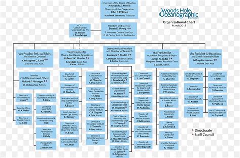 Non-profit Organization Hierarchy Chart