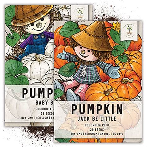 Growing Pumpkins in Containers: A Complete Guide — Meadowlark Journal