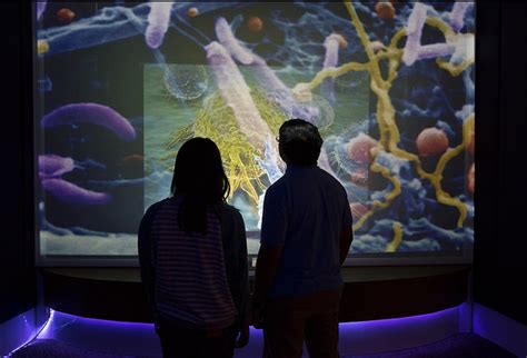 Best Science Museums on the East Coast for Families - Kid Trips Family ...