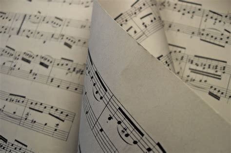 Do Cats Prefer Classical Music? – The Purrington Post