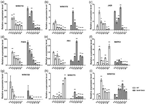 The expression patterns of genes related to plant-pathogen interactions... | Download Scientific ...