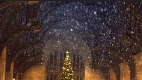 You can have Christmas dinner in HOGWARTS this year. If you’re into ...