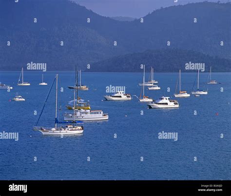 Shute harbour hi-res stock photography and images - Alamy