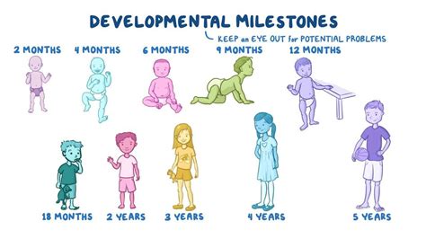 Developmental milestones: Clinical practice - Osmosis