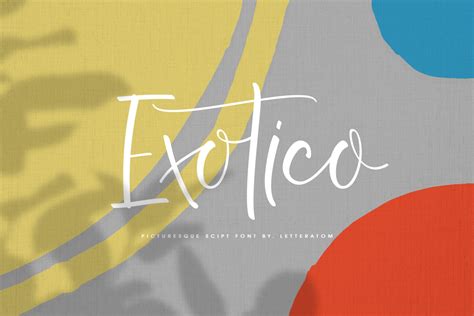 Exotico (280914) | Calligraphy | Font Bundles | New fonts, Vintage ...