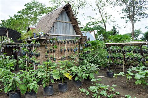 changing the face of poverty | Cottage garden, Bahay kubo, Garden design