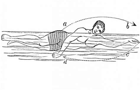 How to Swim Sidestroke-Technique,Trudgen &Combat Drills & Tips ...