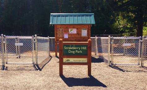 Podcast: What's Up BainbridgeBring your dogs to the off-leash Strawberry Hill Park August 9 ...