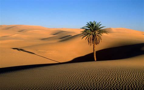 Desert Backgrounds - Wallpaper Cave