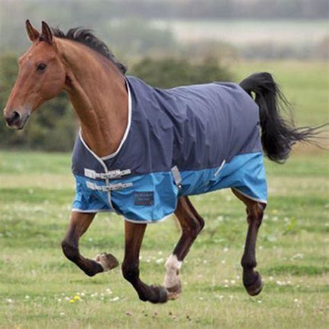 Bridleway Ontario Summer Turnout Rug