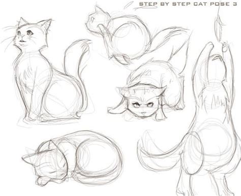 Cat Poses Drawing - Lopez