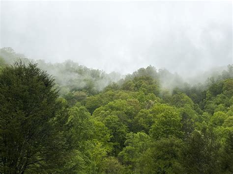 Cherokee & Great Smoky Mountains National Park, SC | DADart Photography