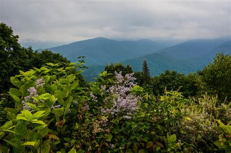 Blue Ridge Parkway Road Trip Planner | Skyline Drive