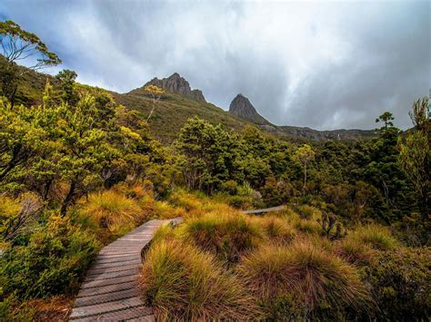 Dove Lake - Great Short Walk | Nature and wildlife | Discover Tasmania