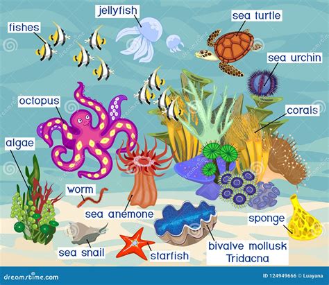 Ecosystem Of Coral Reef With Different Marine Inhabitants With Titles ...