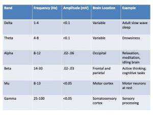 The Electroencephalogram – A Mixed Course-Based Research Approach to ...