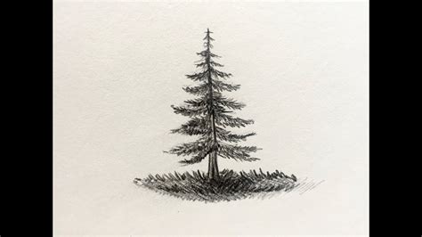 Pine Tree Images Drawing - Pine Tree Transparent Trees Clipart Clip ...